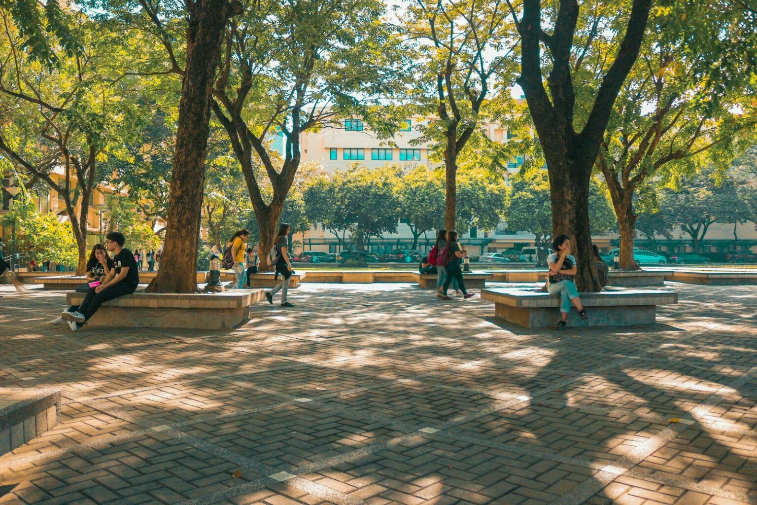 Campus safety: A guide to understanding GBV risks at University ...